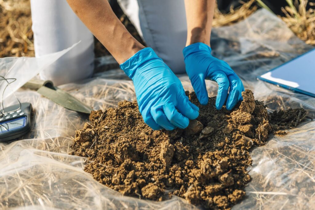 Tratamiento de suelos contaminados por hidrocarburos - El Farol S.A.